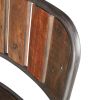Renu Bar Stool with backrest